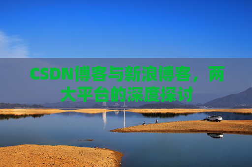 CSDN博客与新浪博客，两大平台的深度探讨