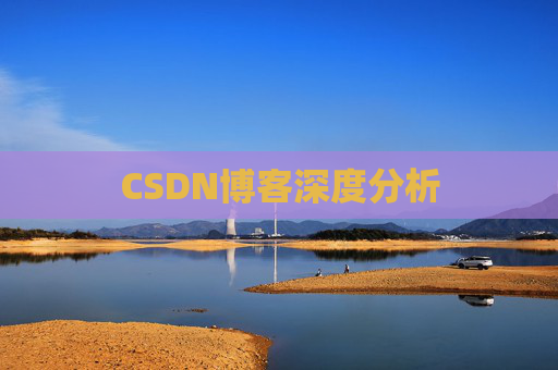 CSDN博客深度分析